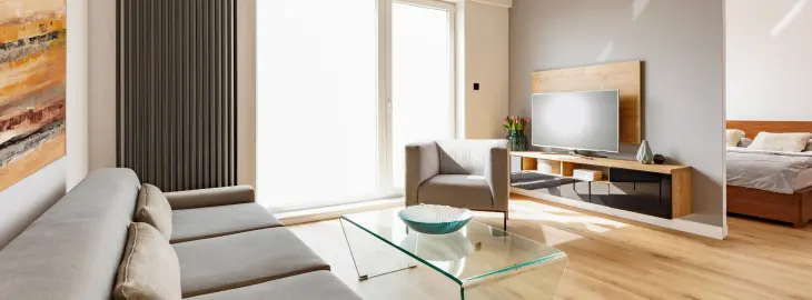 Modern apartment living room with bright natural light and minimalist furniture